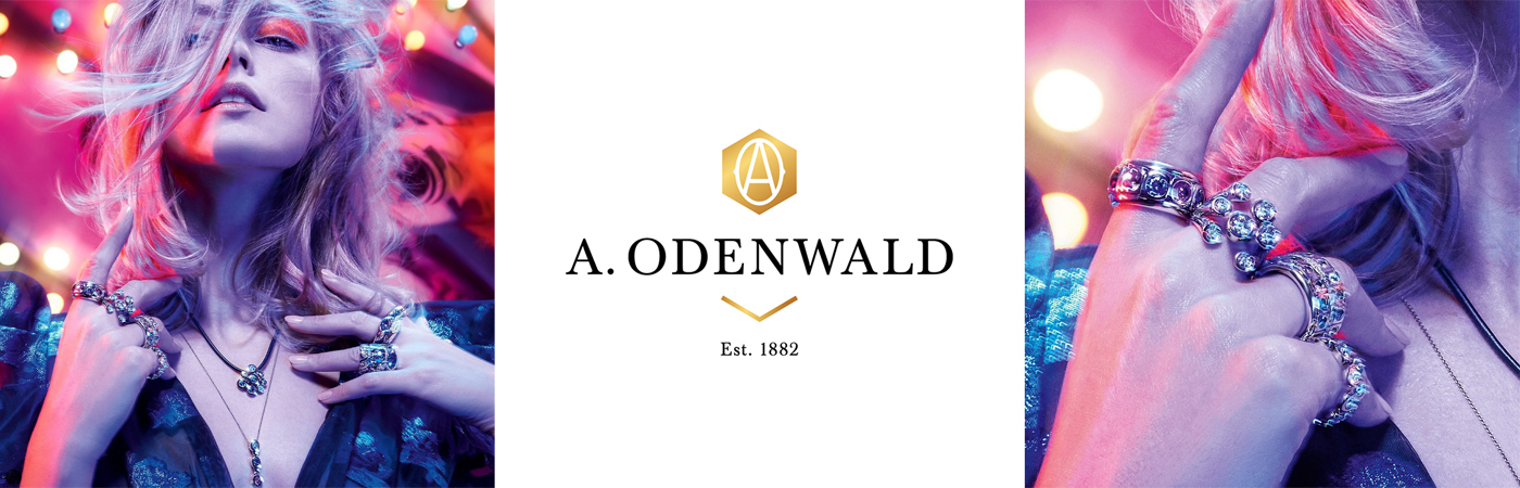 Banner_Odenwald_1400px_450px_150dpi (1)